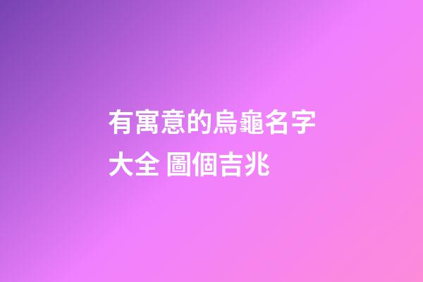 有寓意的烏龜名字大全 圖個吉兆